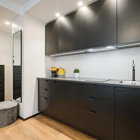 Elegant 30m2 Next To Old Town * טאלין